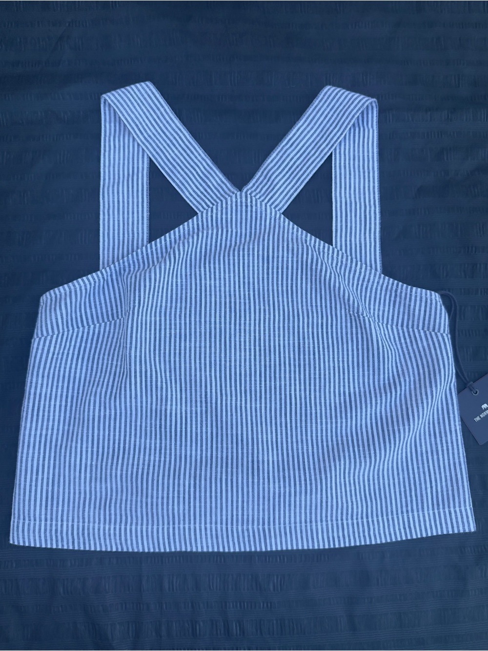 The Normal Brand Blue Striped Shirt with Solid Blue Interior
